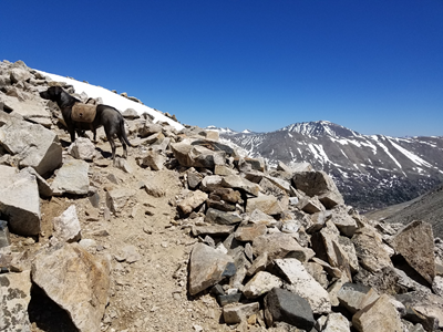 Mount Democrat (11).jpg